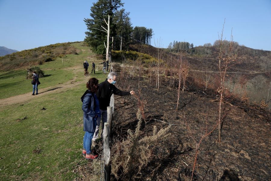 La Diputación de Gipuzkoa y el Ayuntamiento de Irun han hecho balance de los daños causados por el fuego de hace dos semanas