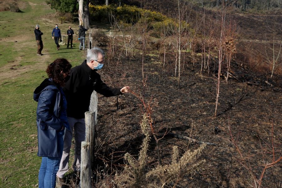 La Diputación de Gipuzkoa y el Ayuntamiento de Irun han hecho balance de los daños causados por el fuego de hace dos semanas