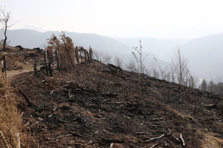 La Diputación de Gipuzkoa y el Ayuntamiento de Irun han hecho balance de los daños causados por el fuego de hace dos semanas