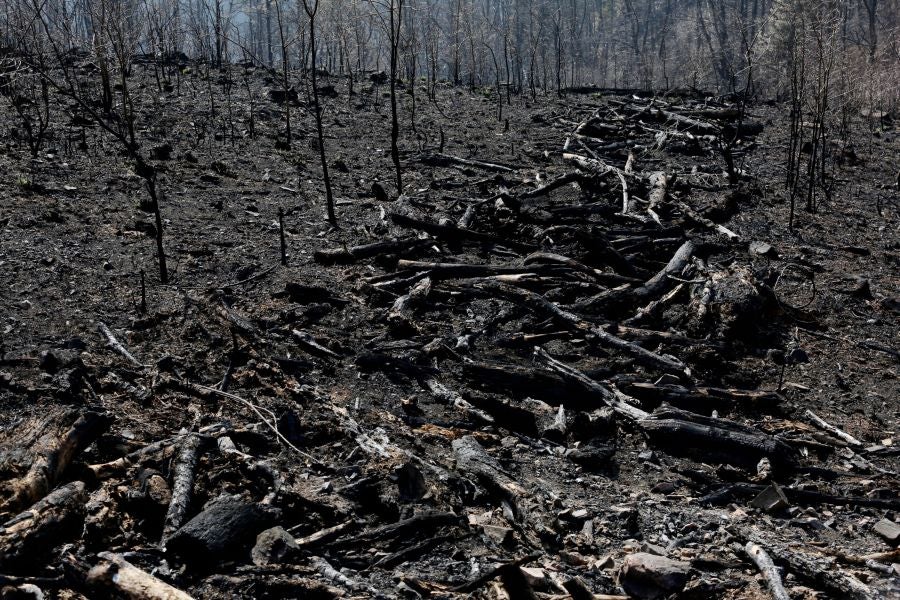 La Diputación de Gipuzkoa y el Ayuntamiento de Irun han hecho balance de los daños causados por el fuego de hace dos semanas