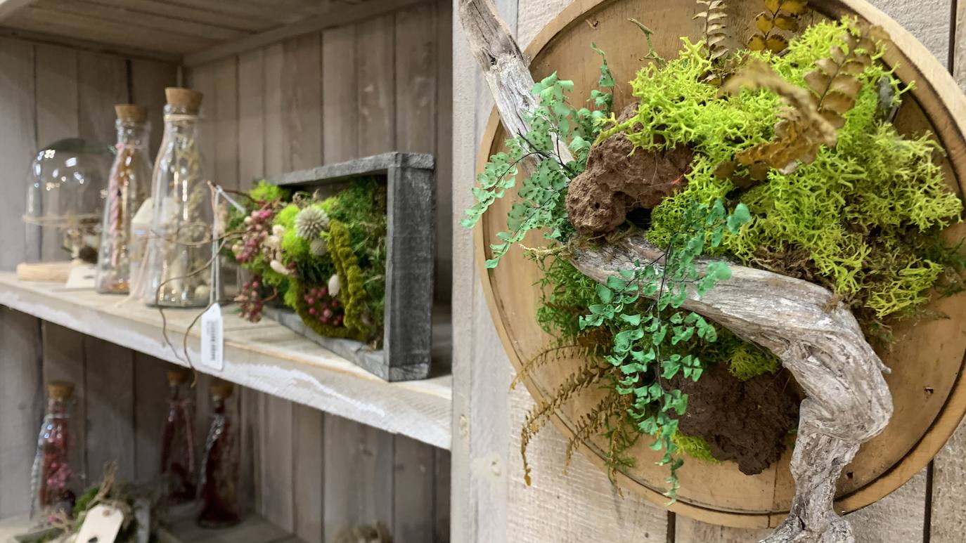 El vivero Endanea te ofrecerá una amplia variedad de plantas: desde árboles a pequeñas flores que te ayudarán a hacer de tu hogar un lugar irresistible