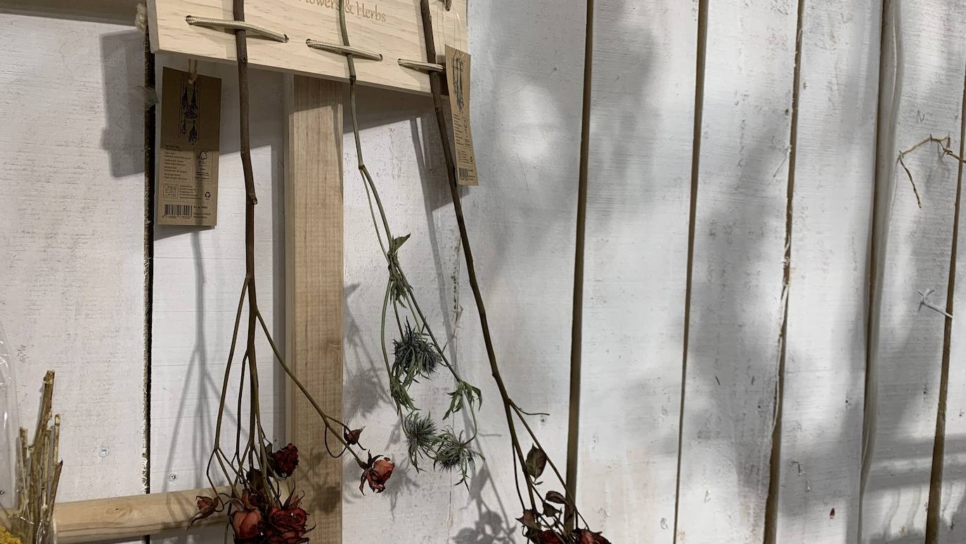 El vivero Endanea te ofrecerá una amplia variedad de plantas: desde árboles a pequeñas flores que te ayudarán a hacer de tu hogar un lugar irresistible