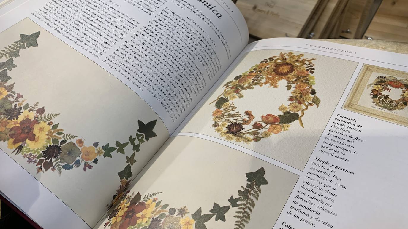 El vivero Endanea te ofrecerá una amplia variedad de plantas: desde árboles a pequeñas flores que te ayudarán a hacer de tu hogar un lugar irresistible