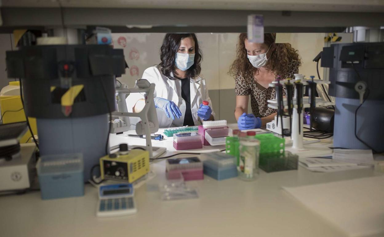 Ikerbasque obtiene la cifra récord de 35 millones de fondos captados en 2020