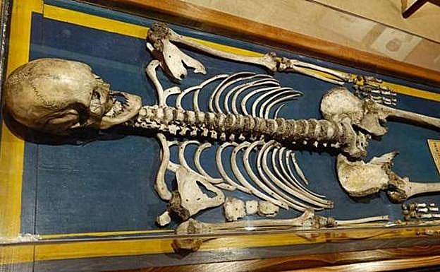 Esqueleto del 'gigante extremeño' que forma parte de la colección del doctor Velasco. 