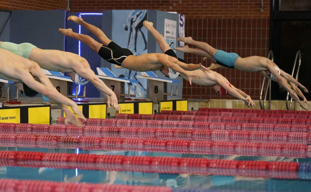 Siete clubes guipuzcoanos participan en el Campeonato de España de Natación