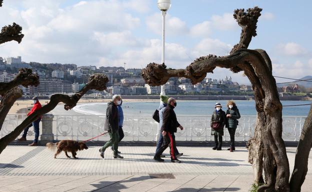 Euskadi notifica 529 contagios a la espera de las restricciones que aborde el LABI