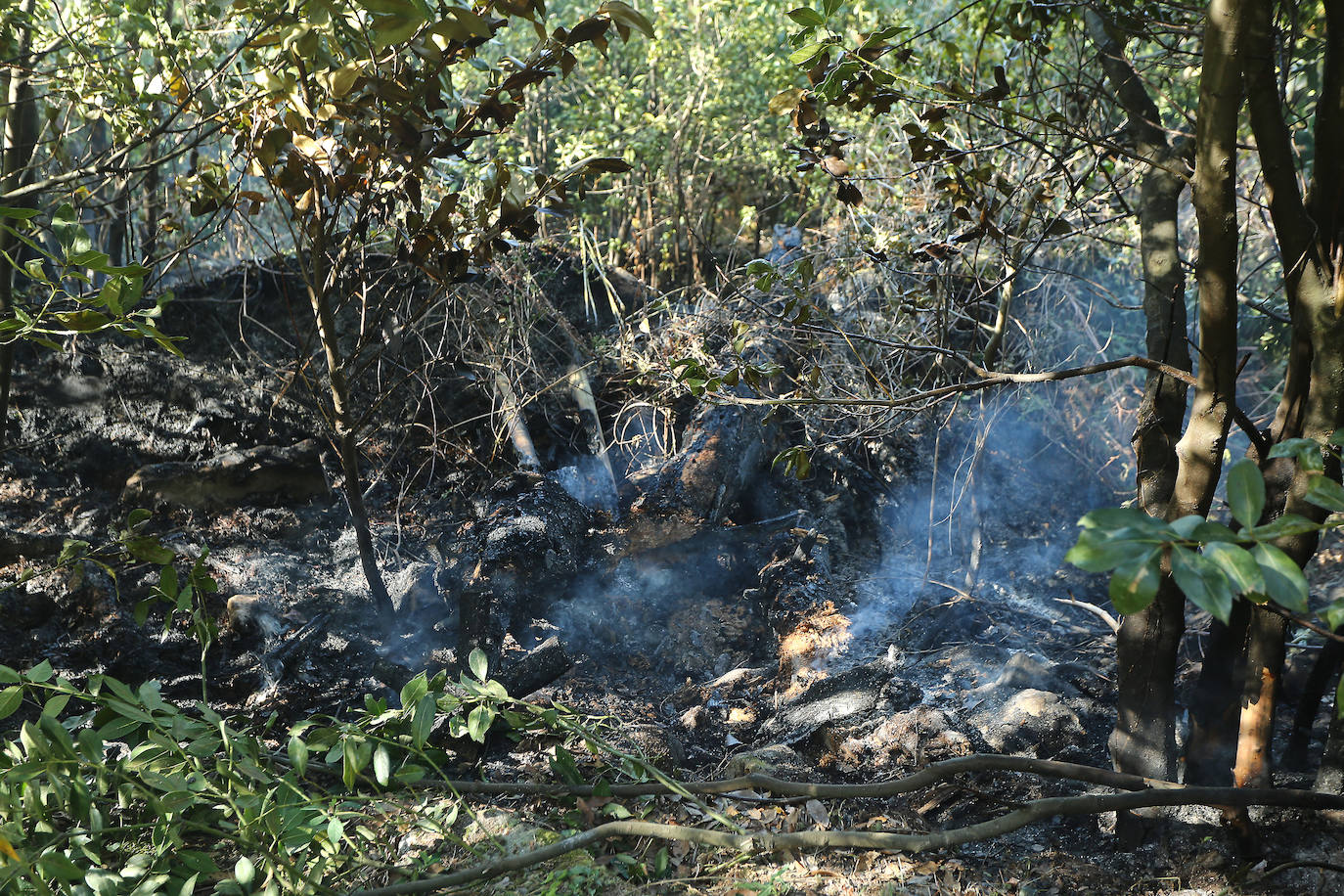 Fotos: Extinguido el incendio registrado esta madrugada en una zona forestal de Ulia