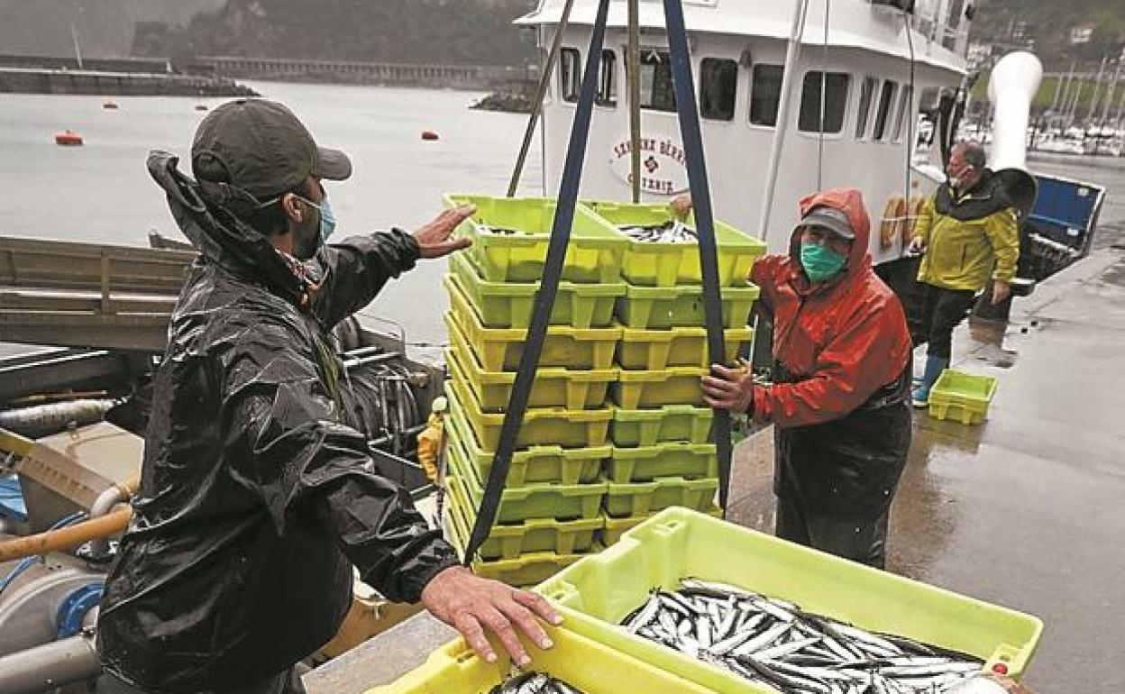 Los arrantzales plantean una veda para la pesca de anchoa entre Hondarribia y Santander