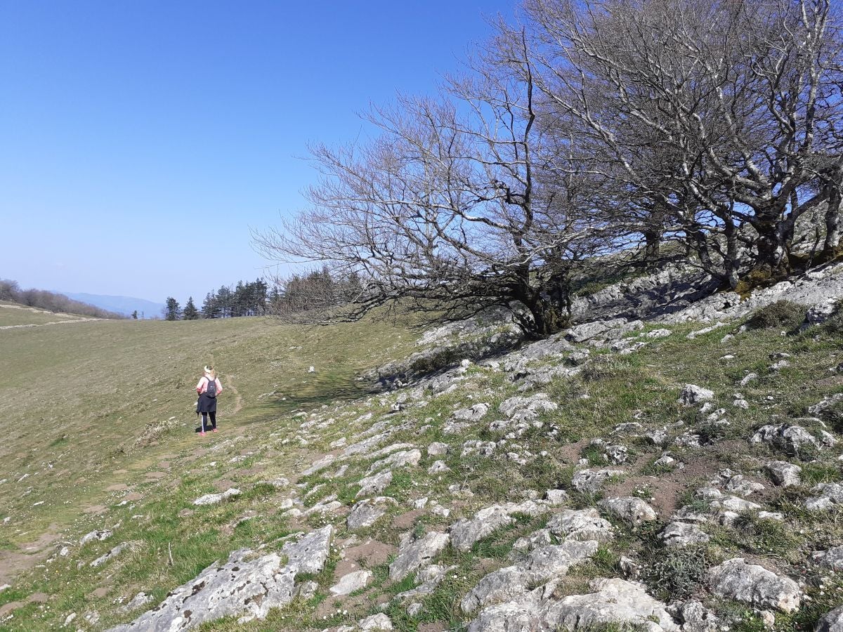 Fotos: Ruta por el Sarastarri