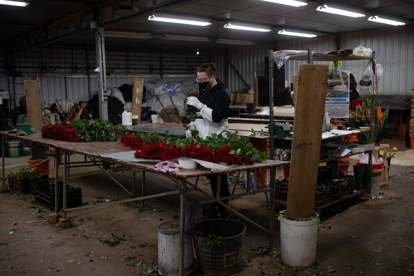 Fotos: Millones de rosas para Sant Jordi