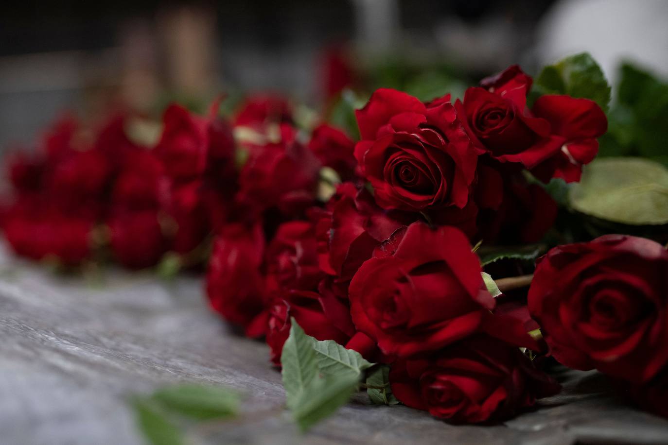 Fotos: Millones de rosas para Sant Jordi