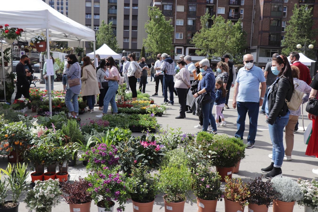 Los lasarteoriotarras han acudido esta mañana a Andatza plaza que ha acogido esta mañana una edición especial de la Feria de Flores y Plantas de Lasarte-Oria.