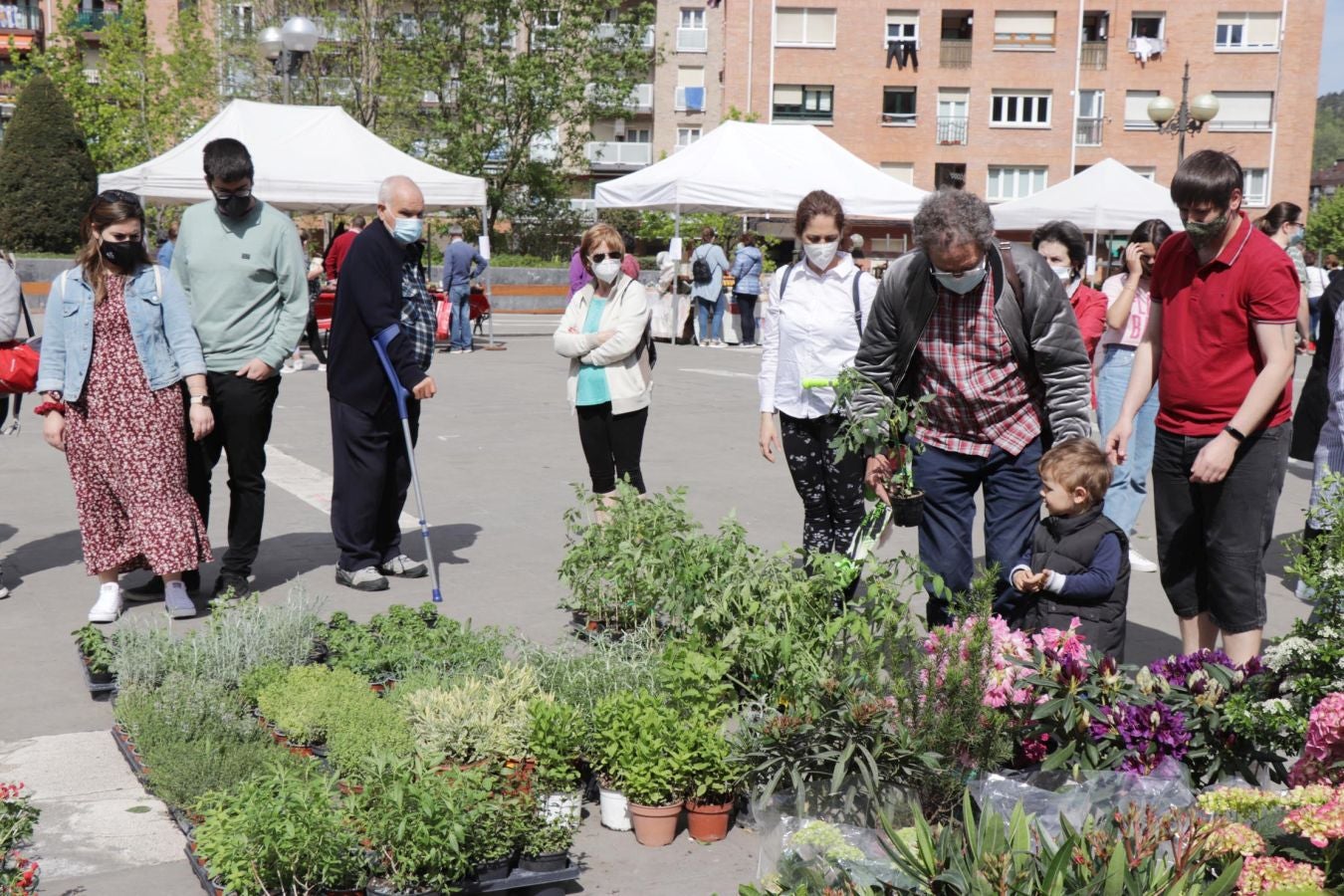 Los lasarteoriotarras han acudido esta mañana a Andatza plaza que ha acogido esta mañana una edición especial de la Feria de Flores y Plantas de Lasarte-Oria.