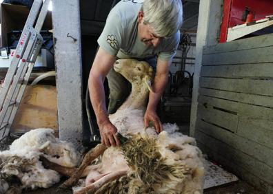 Imagen secundaria 1 - Aralar estrena pastos con nombre propio de mujer