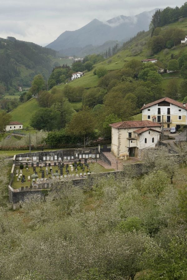 El mes de las flores convierte a Errezil, la localidad que se sitúa a los pies del monte Hernio, en el 'Jerte guipuzcoano' gracias a los miles de manzanos que se reparten por sus terrenos bajos. En este precioso rincón de Urola Costa, estos días el blancos de las flores de sus manzanos se mezcla con algunos tonos rosas, incluso fucsias en las abundantes flores que pueblan las ramas de árboles de extrañas formas.