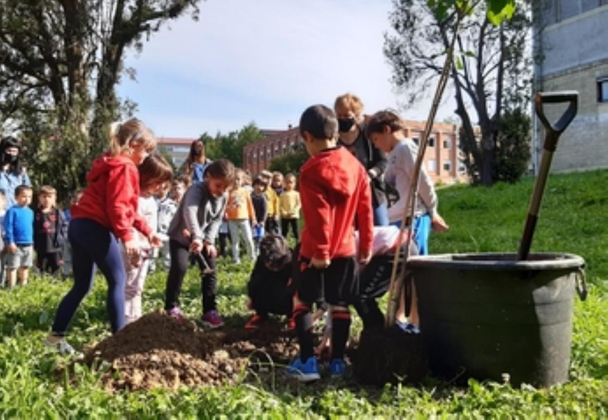 Ikasleak zuhaitza landatzen. 