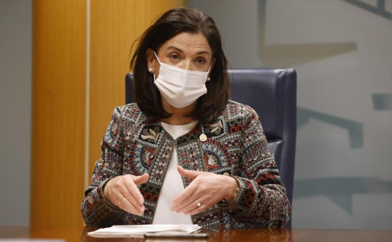 La consejera Beatriz Artolazabal, en una comparecencia parlamentaria.