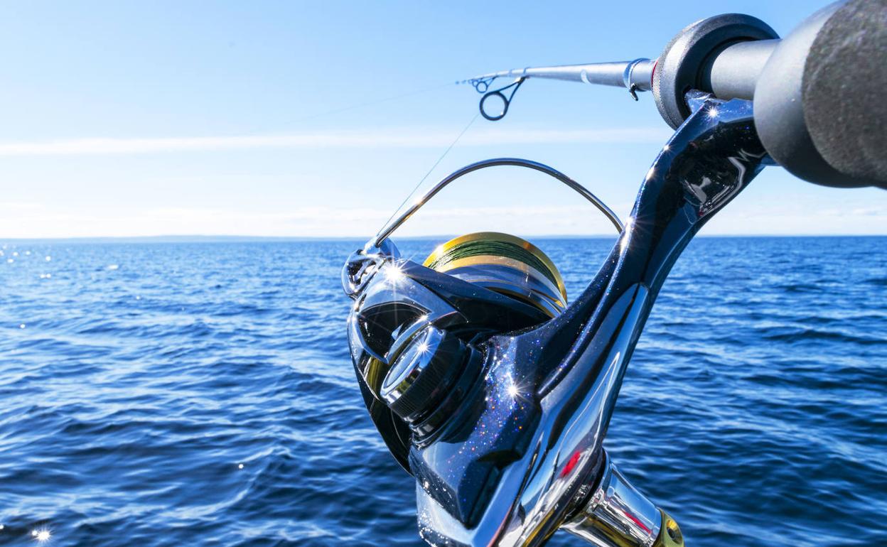 Discriminación del sector recreativo de la pesca