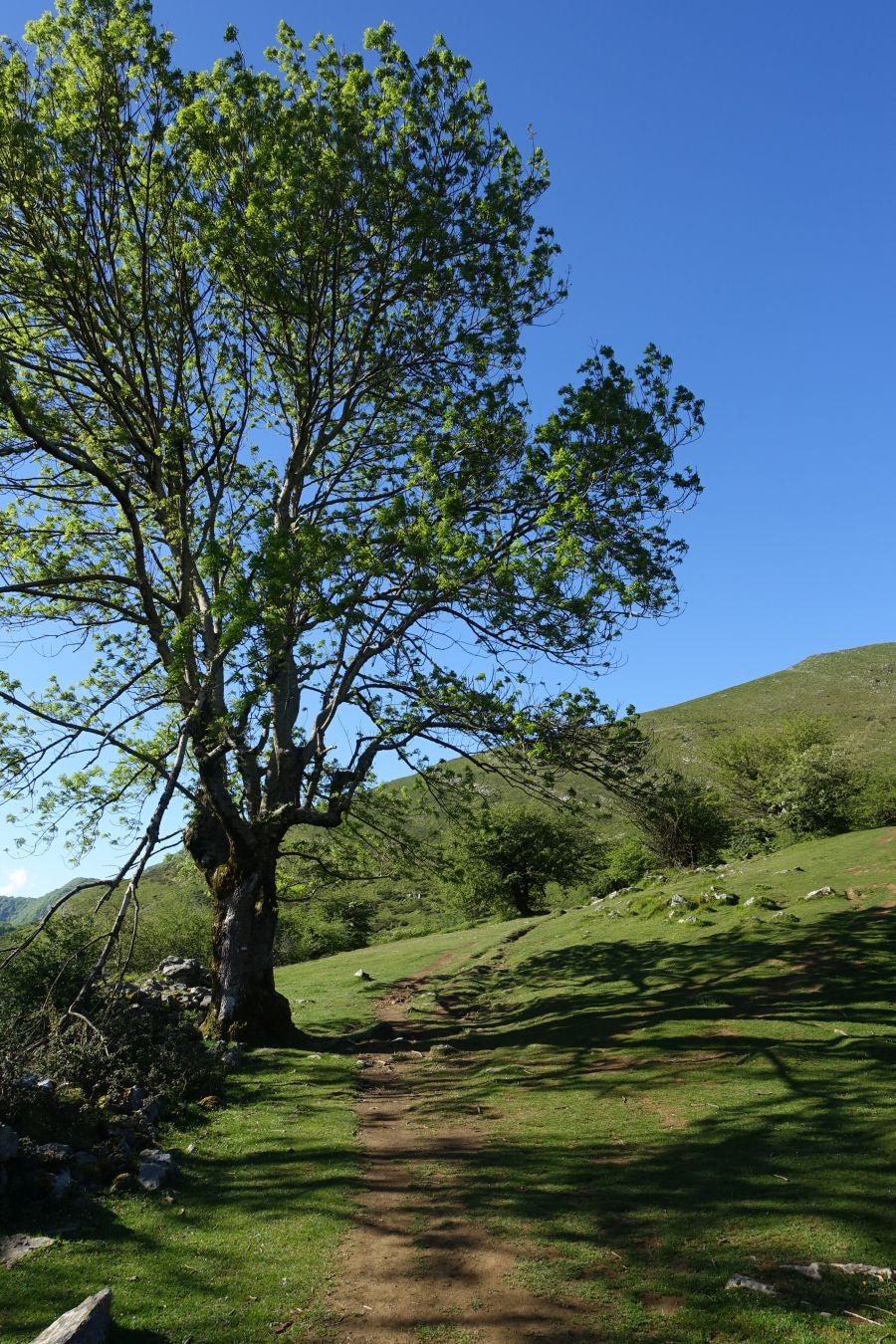Cima discreta que se mantiene a la sombra de Hernio, entre el mar, el camino de Santiago y la venta en que descansó el gran patrón