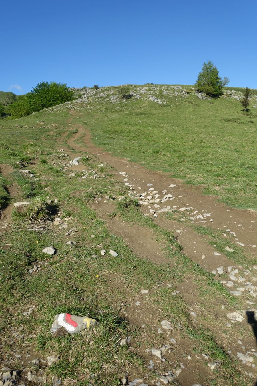 Cima discreta que se mantiene a la sombra de Hernio, entre el mar, el camino de Santiago y la venta en que descansó el gran patrón