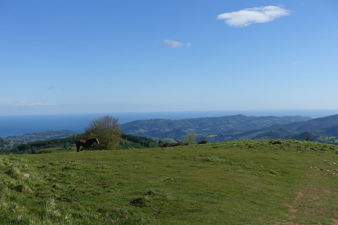 Cima discreta que se mantiene a la sombra de Hernio, entre el mar, el camino de Santiago y la venta en que descansó el gran patrón