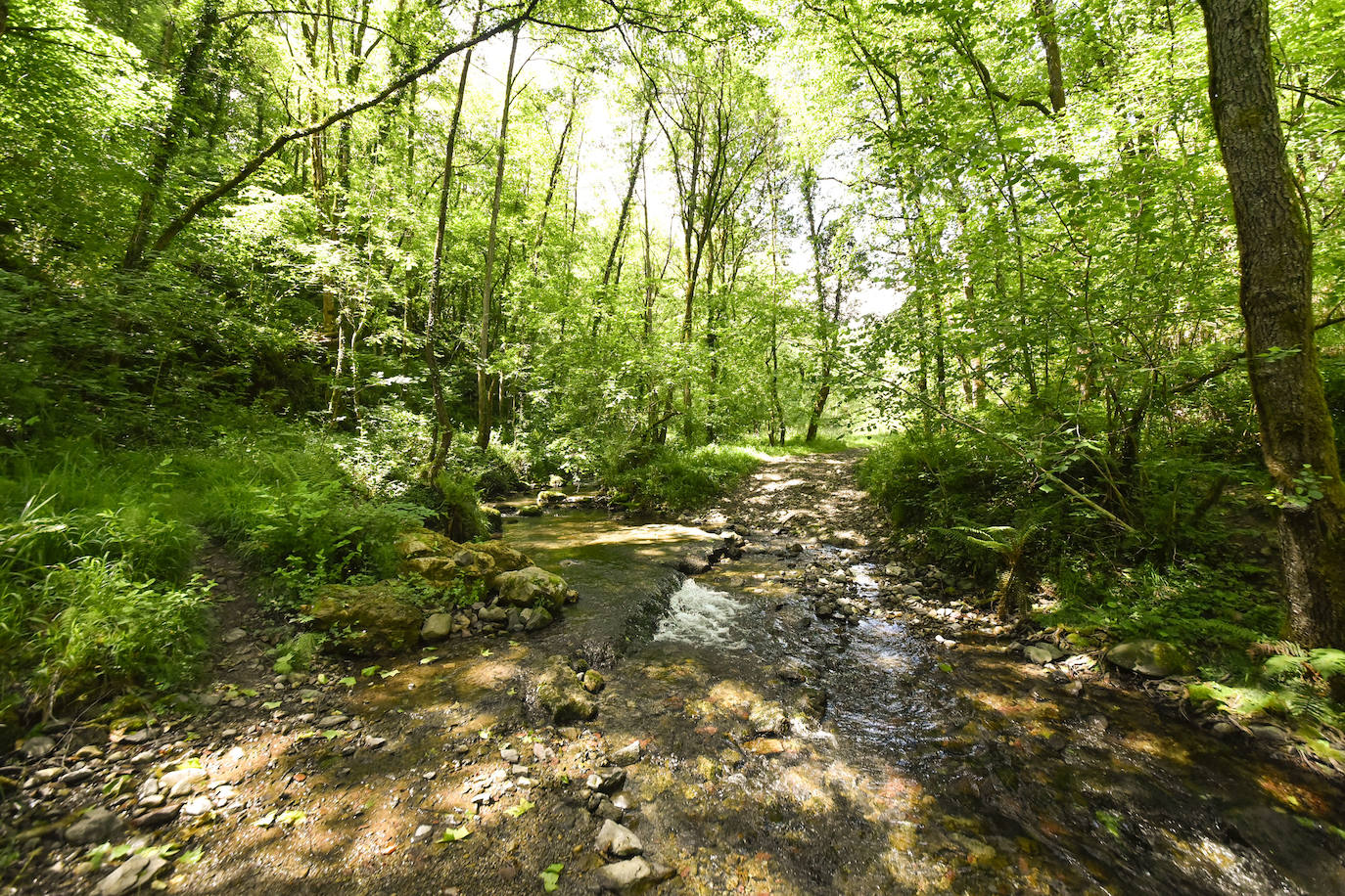 La jornada de los museos en Ur Mara, el espacio de Koldobika Jauregi que une en Alkiza naturaleza, pensamiento y arte, como un Chillida Leku silvestre.