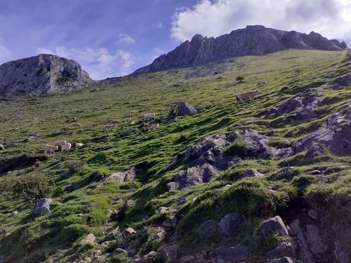 Ganboa, una joya bien custodiada