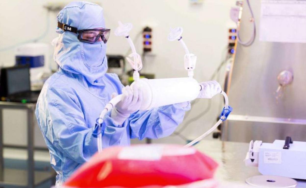 Una investigadora de VIVEbiotech, que junto con Viralgen promueve el proyecto GANTT, incluido en los Euskadi Next 