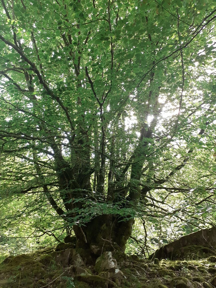 La blanca ermita de la Trinidad ubica esta cima de piedra rojiza en la que las leyendas mitológicas inundan todos sus rincones.
