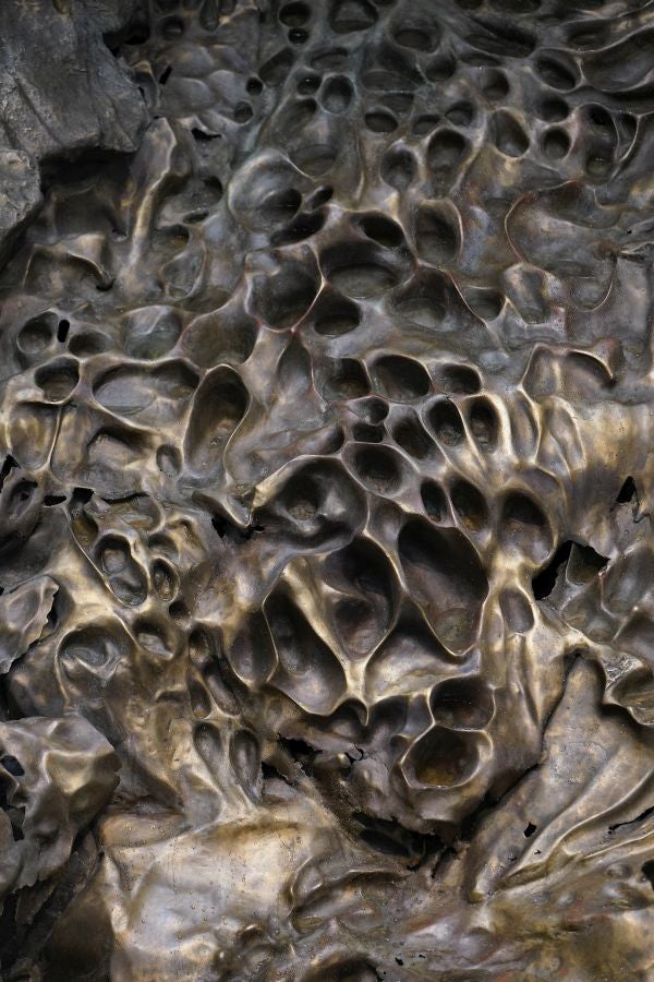 Fotos de Hondalea, la obra de Cristina Iglesias en la isla Santa Clara