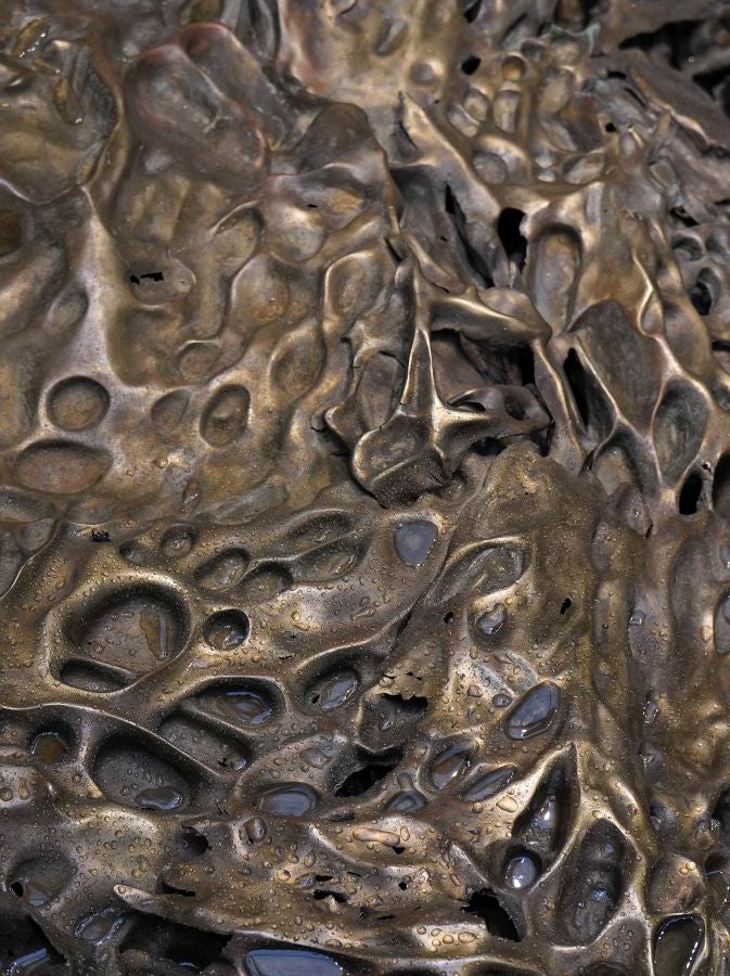 Fotos de Hondalea, la obra de Cristina Iglesias en la isla Santa Clara