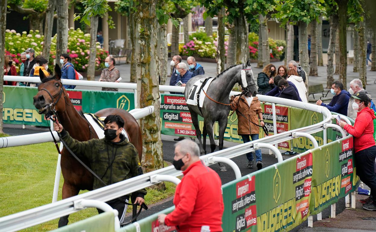 Las carreras volvieron ayer a Donostia. 