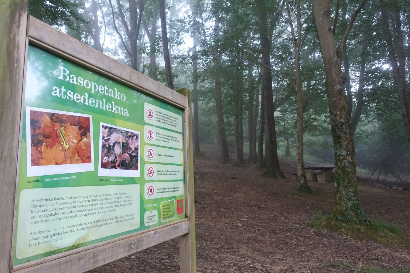 Belkoain, discreta morada ancestral