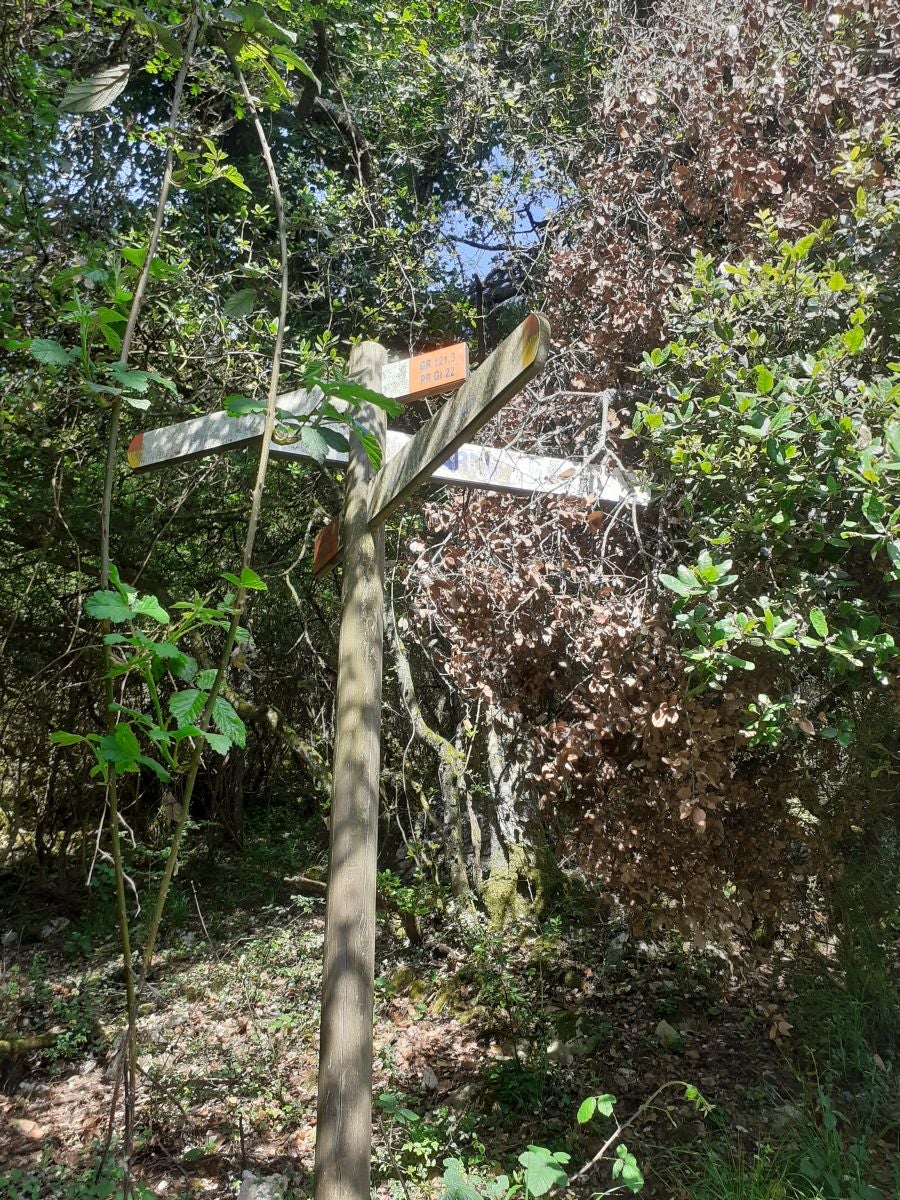 Discreta cumbre desde la que se contempla la fuerza del mar que a lo largo de millones de años ha esculpido nuestra costa, dejando al descubierto grandes tesoros fósiles