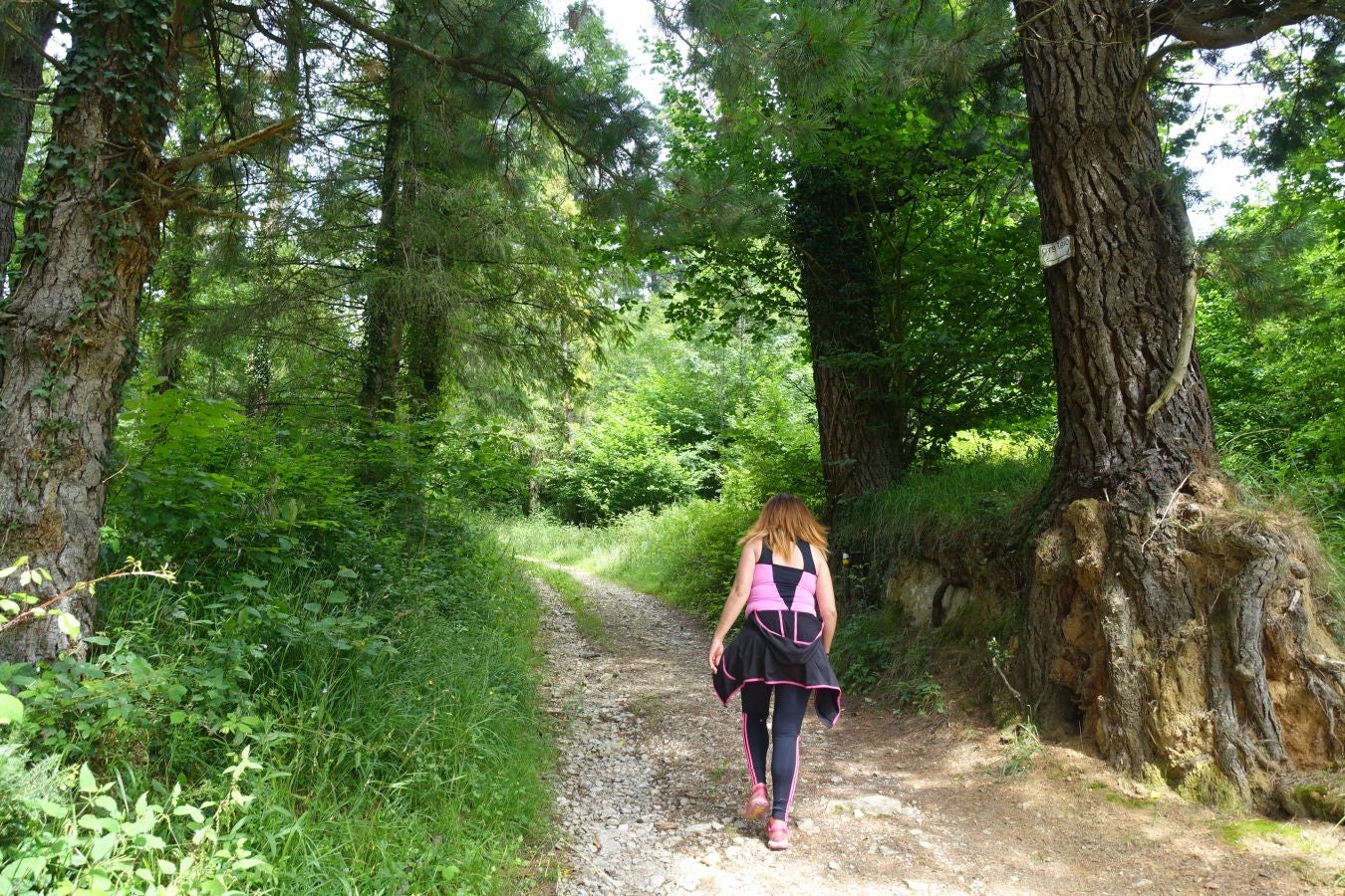 Sus 801 metros de altitud no le hacen uno de los montes más destacables, pero su peculiar cima lo convierte en uno de los que hay que conocer