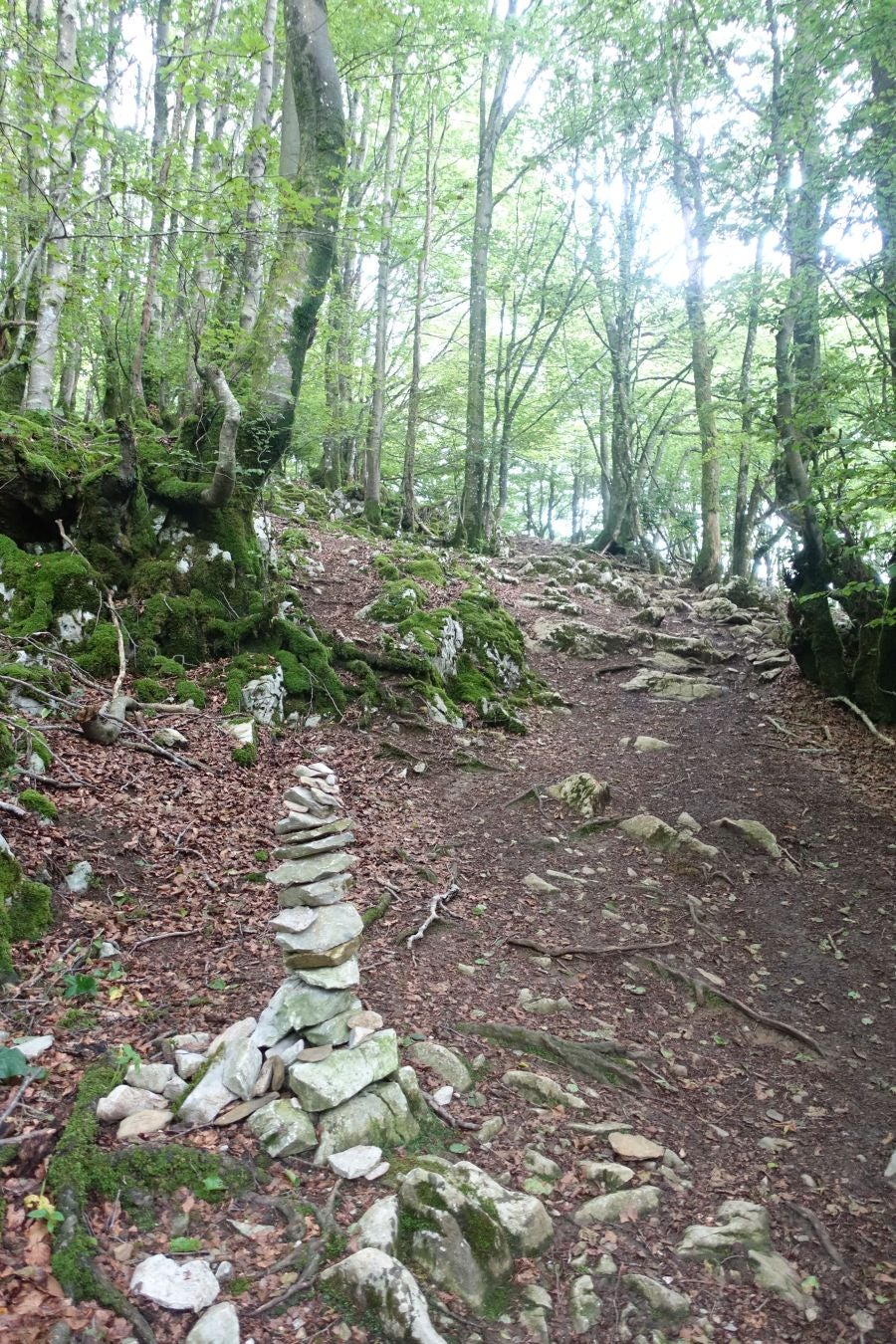 Sus 801 metros de altitud no le hacen uno de los montes más destacables, pero su peculiar cima lo convierte en uno de los que hay que conocer