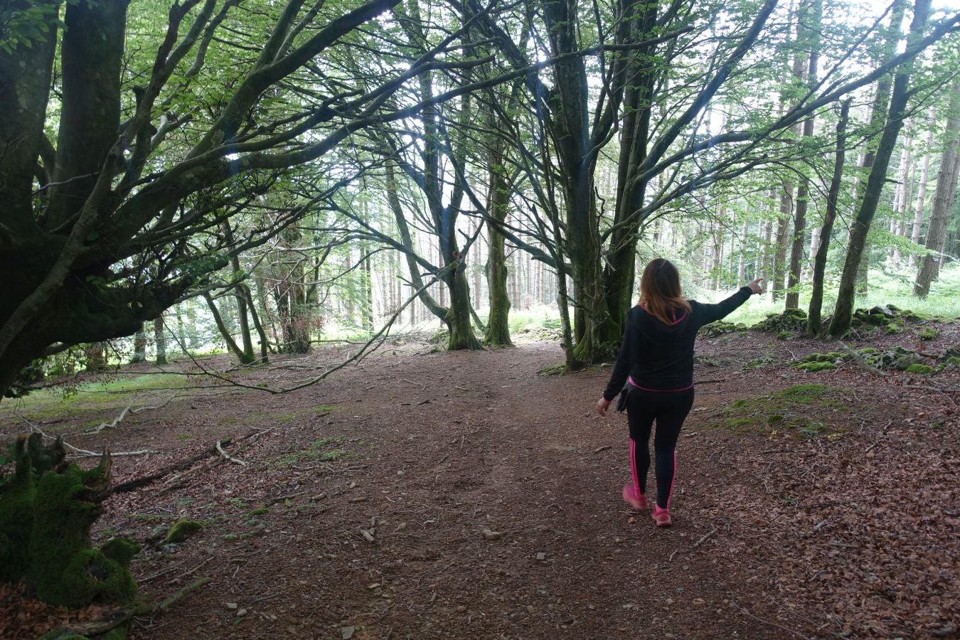 Sus 801 metros de altitud no le hacen uno de los montes más destacables, pero su peculiar cima lo convierte en uno de los que hay que conocer
