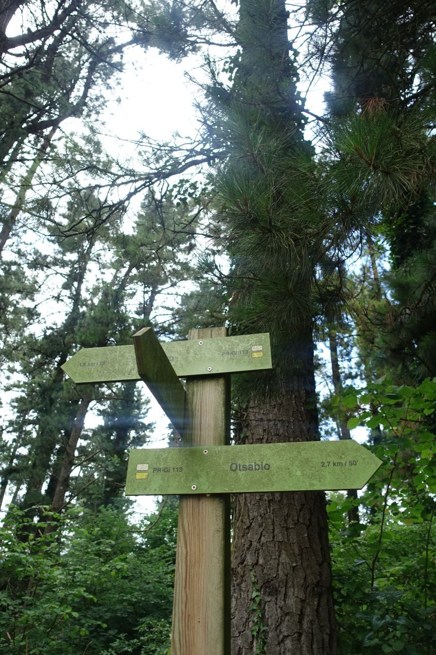 Sus 801 metros de altitud no le hacen uno de los montes más destacables, pero su peculiar cima lo convierte en uno de los que hay que conocer