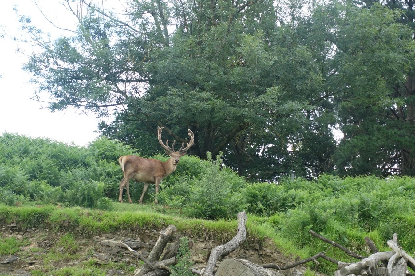 Sus 801 metros de altitud no le hacen uno de los montes más destacables, pero su peculiar cima lo convierte en uno de los que hay que conocer