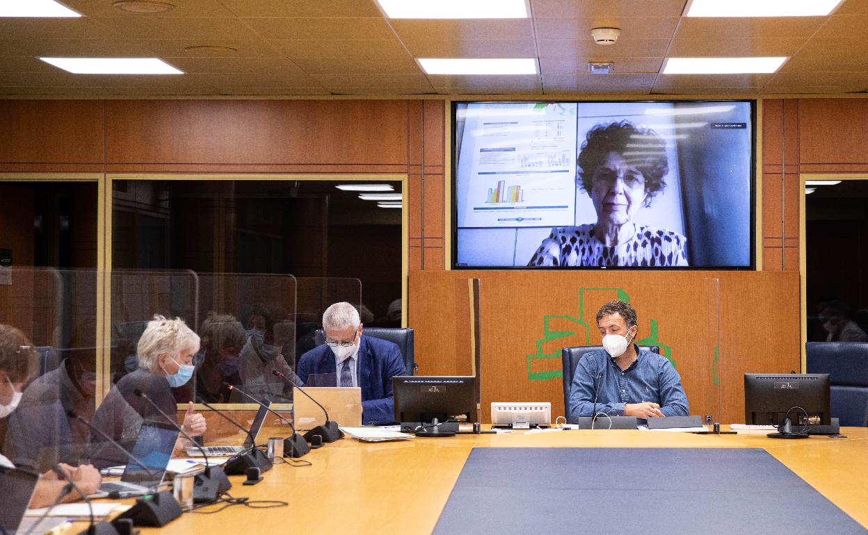 Salud reconoce que la variante Delta «no se puede parar y será la principal» en Euskadi