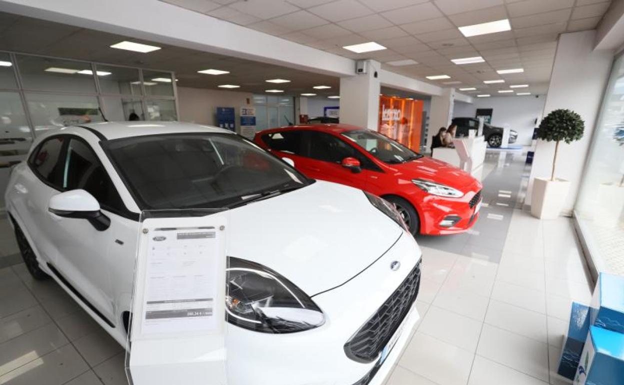 Un concesionario de Oiartzun, sin clientes ayer en el interior de sus instalaciones. 