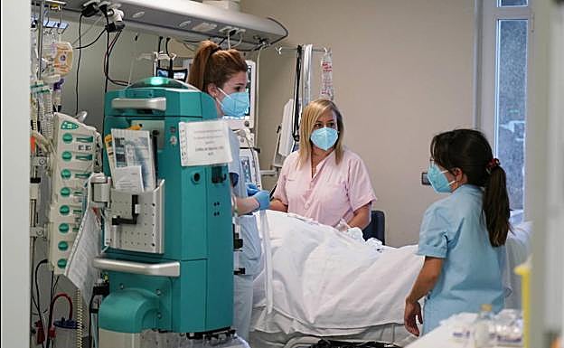 Coronavirus Euskadi: Este es el nuevo perfil de los hospitalizados en los hospitales