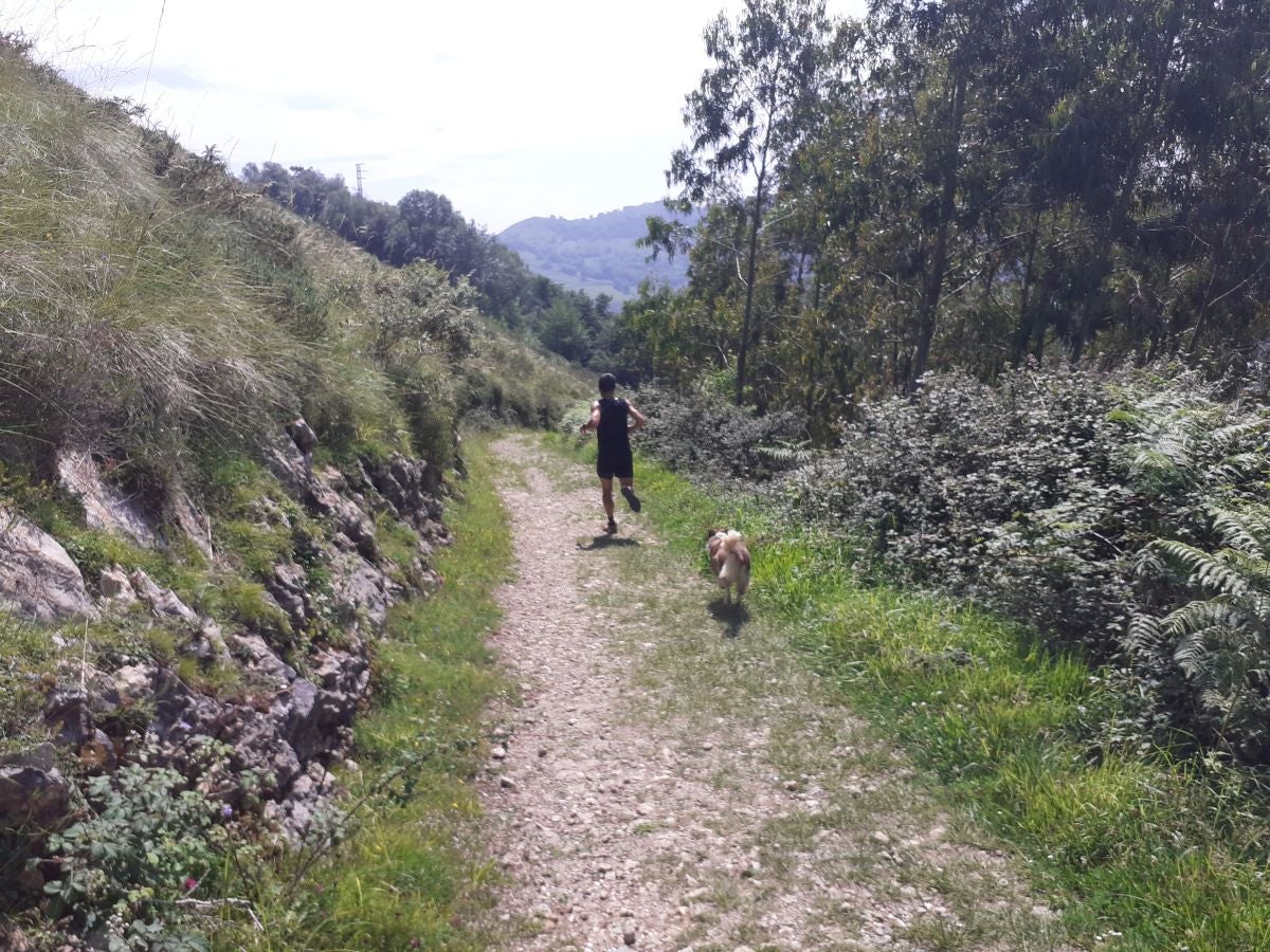 Esta sencilla cima, presidida por una cruz y que cuenta con dos buzones, nos sorprende con su preciosas vistar al Cantábrico
