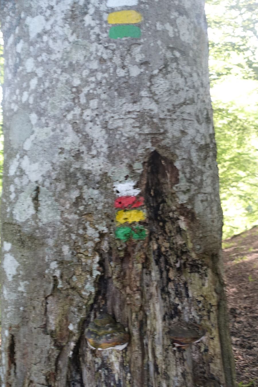 La cima más popular de la sierra de Aloña ofrece una magníficas vistas del Alto Deba y los montes que le rodean