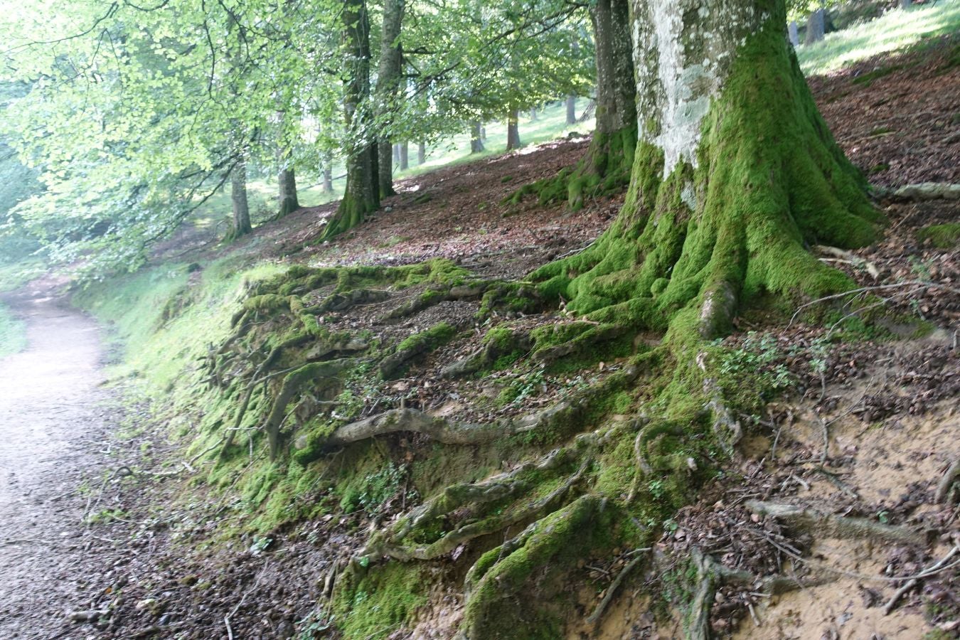 La cima más popular de la sierra de Aloña ofrece una magníficas vistas del Alto Deba y los montes que le rodean