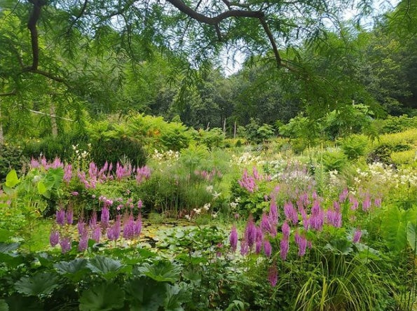20.000 metros cuadrados de jardines albergan abundantes colecciones botánicas