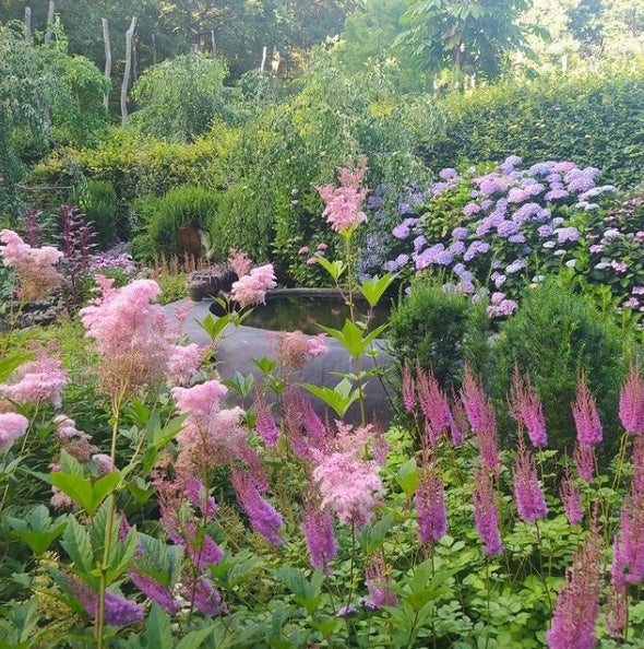 20.000 metros cuadrados de jardines albergan abundantes colecciones botánicas