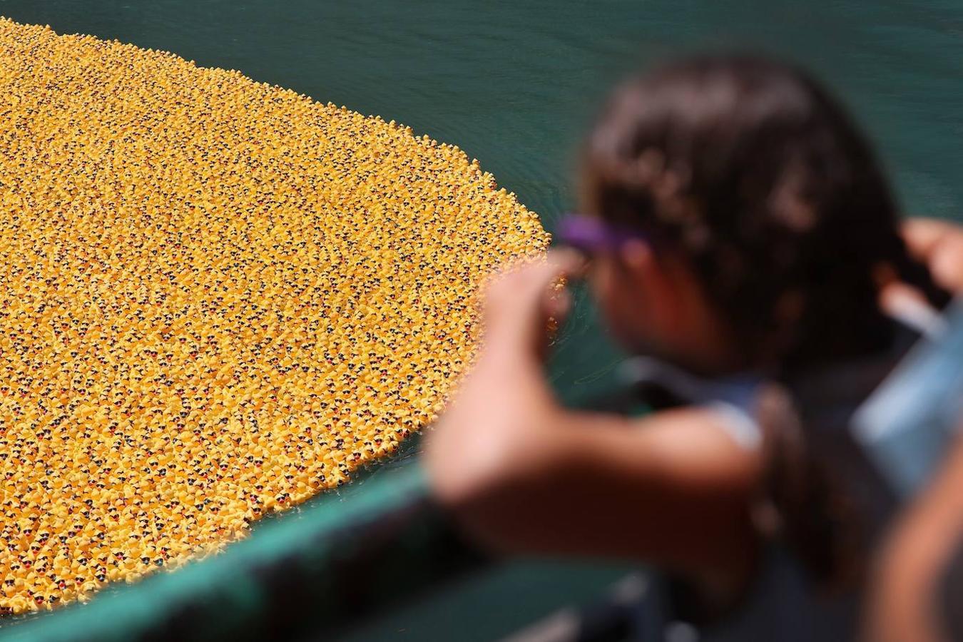 Fotos: Al agua patos: miles de patitos de goma «nadan» en una carrera en el río de Chicago