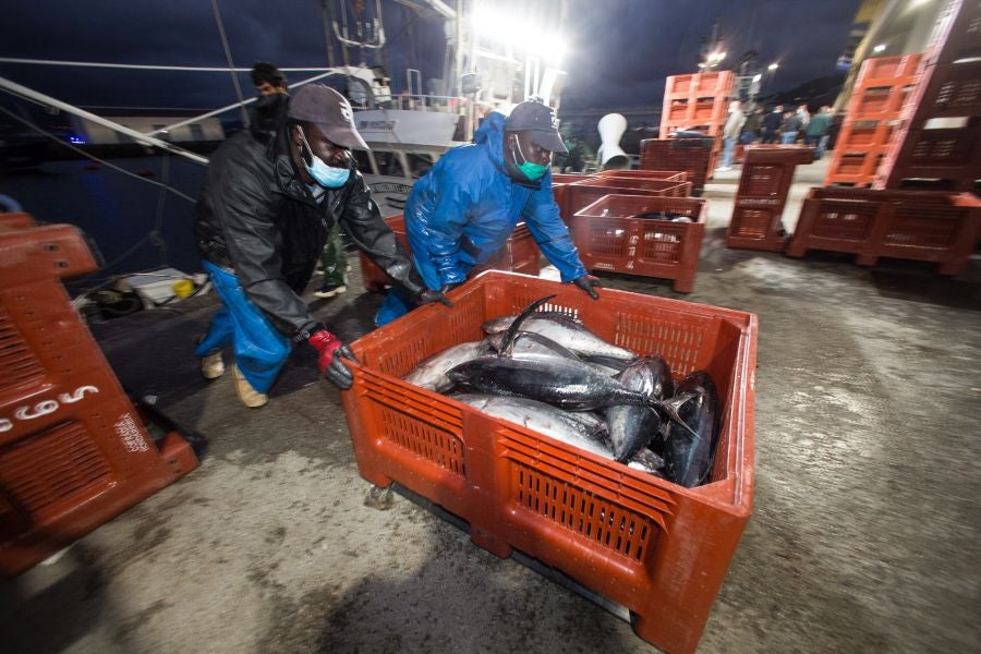 Fotos: Las últimas piezas de la temporada